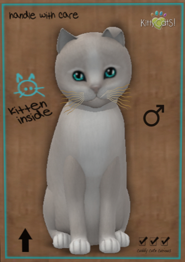 KittyCatS Box - Genesis - Pearl II (female)