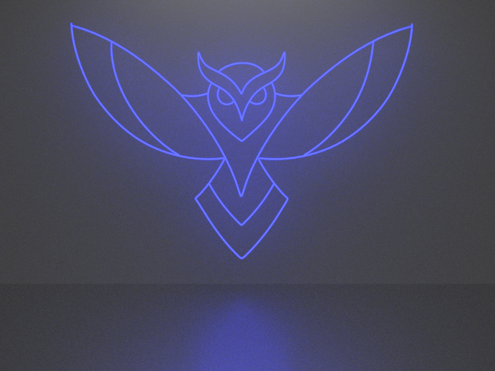 Owl 5 neon sign Full Permission