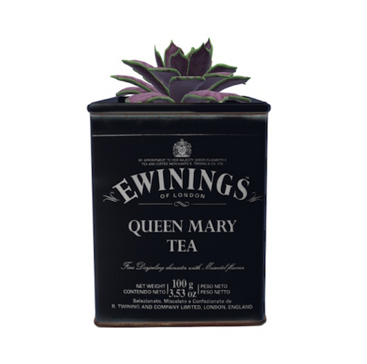 Magnetic - Tea Tin Planters 05