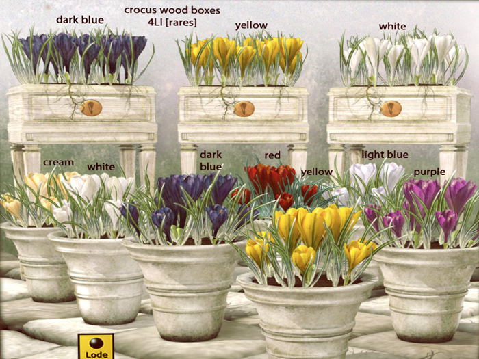 *LODE* Decor - Crocus Wood Box [dark blue] RARE