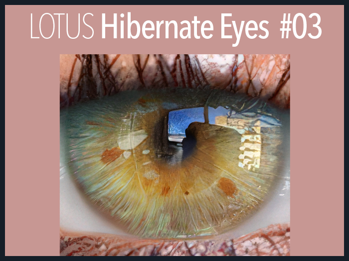 LOTUS. Hibernate Eyes 03 (BOM)