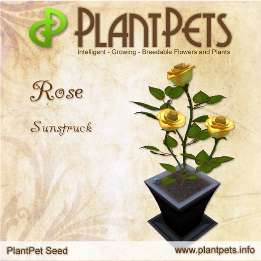 PlantPet Seed [Rose *Sunstruck*]