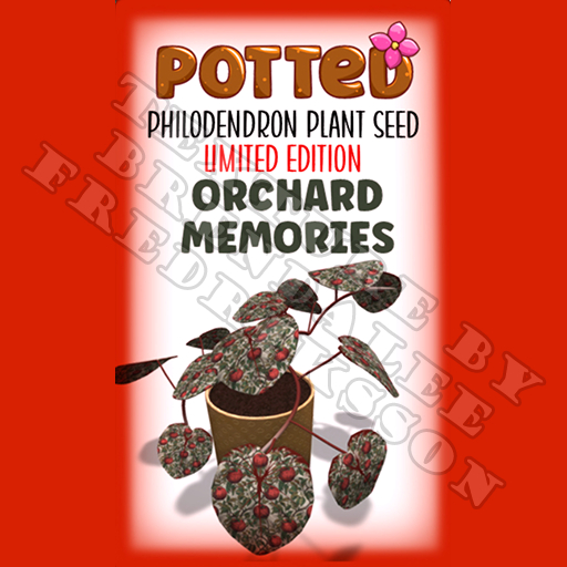 Potted: Starter Philodendron Plant Seed: LE Orchard Memories (ACTUAL PLANT SEED)