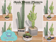 {what next} Oasis Bloom Planters  - Set of 3