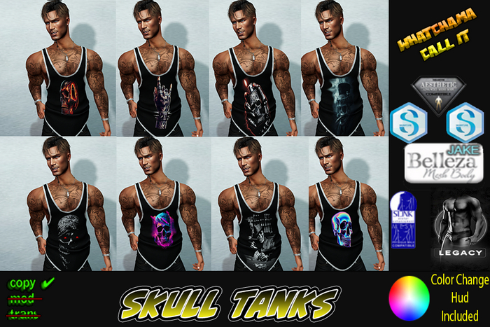 Skull  Tanks Unpack Hud