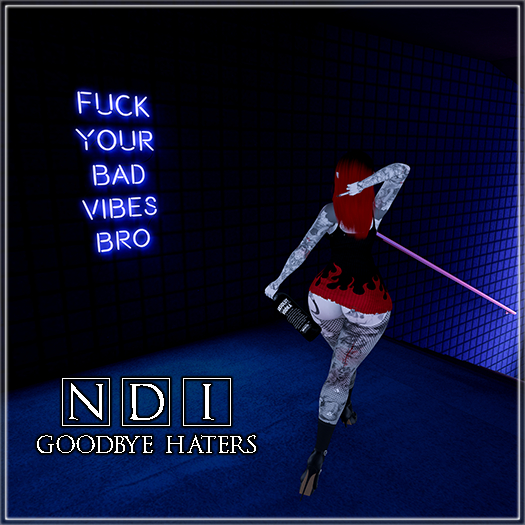 .:*NDI*:. GoodBye Haters