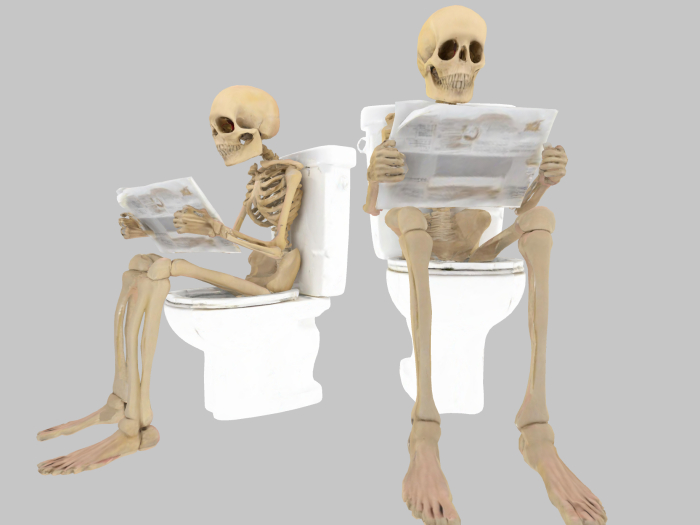 Skeleton on Toilet FULL PERM