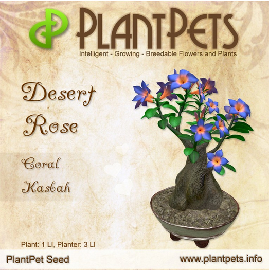 PlantPet Seed [Desert Rose *Coral Kasbah*]