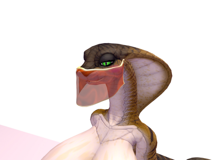 SnokraSnake - dancers vail