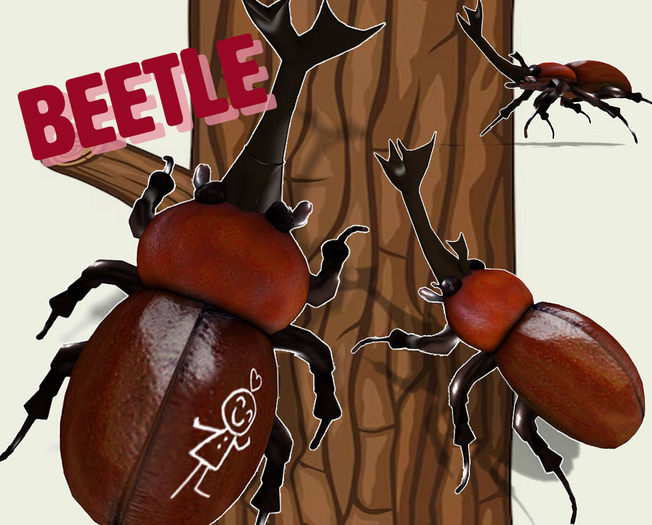 Rhinoceros Beetle