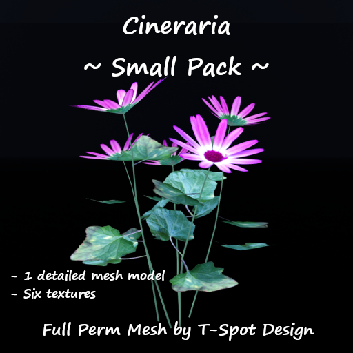 T-Spot Mesh - Cineraria - Small Pack - FP - LI=0.5
