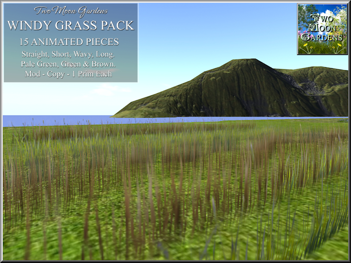 Grass Windy