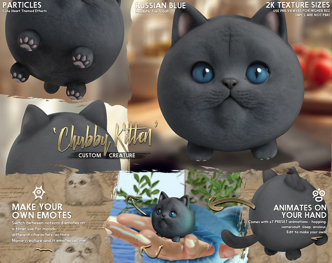 -Birth- 'Chubby Kitten' Creature