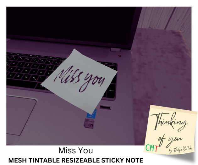 MISS YOU - Thinking of You Sticky Note