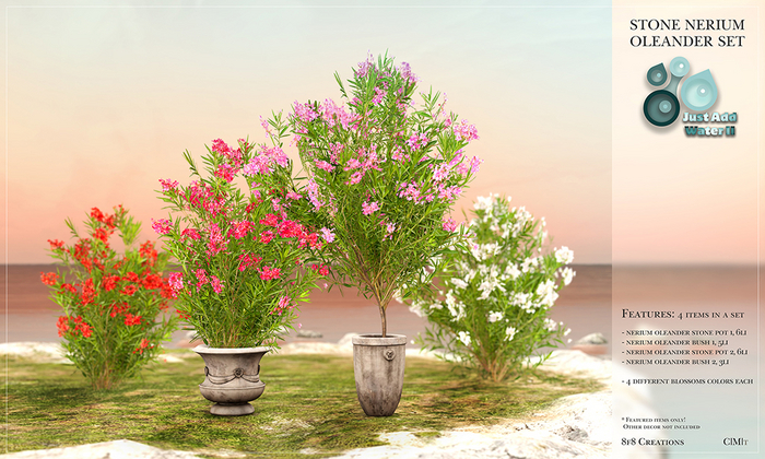 8f8 - just add water II - Nerium Oleander Stone Set
