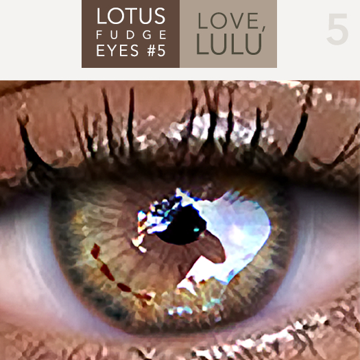 LOTUS. Fudge Eyes 5 MESH