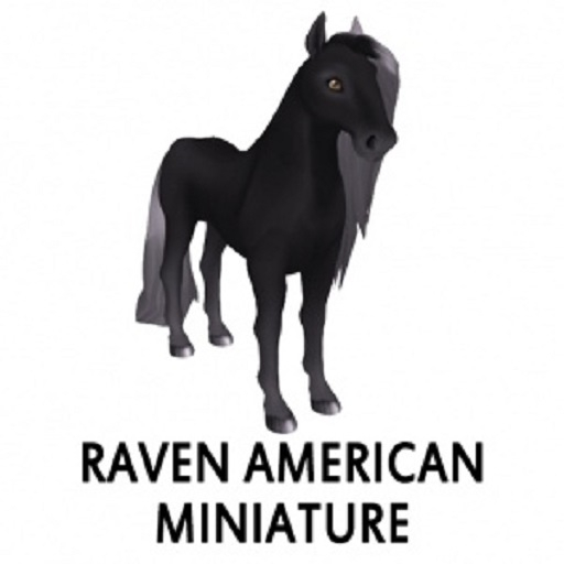 Raven American Miniature F