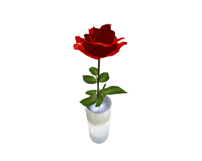 Red Rose in Vase
