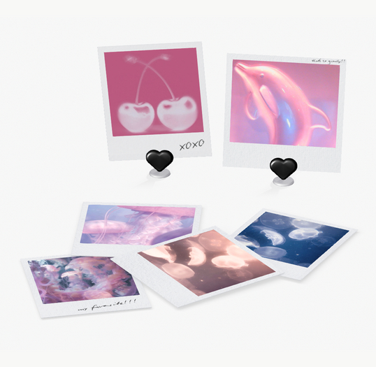 ROOM.900 Polaroids - BOX
