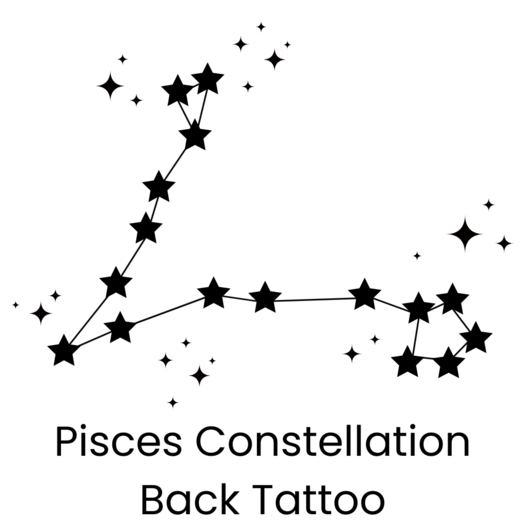 Picses Constellation (Back Tattoo)