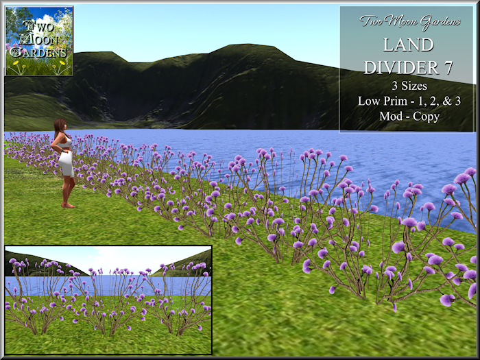 Land Divider 7