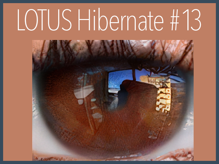 LOTUS. Hibernate Eyes 13 (LeLutka)