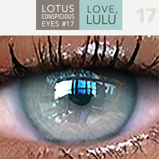 LOTUS. Conspicuous Eyes 17 __Mesh R&L RARE