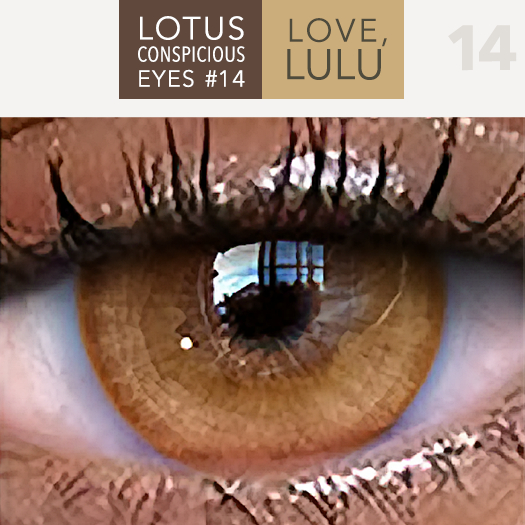 LOTUS. Conspicuous Eyes 14 MESH