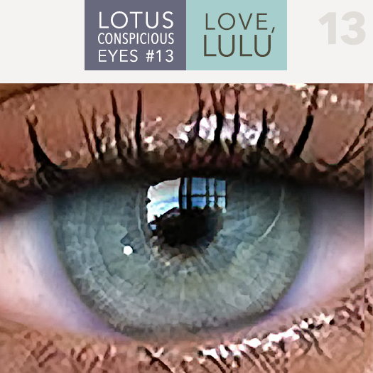 LOTUS. Conspicuous Eyes 13 MESH