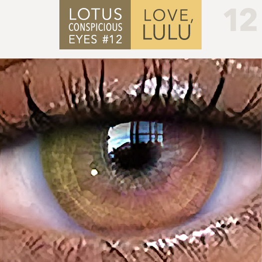 LOTUS. Conspicuous Eyes 12 MESH