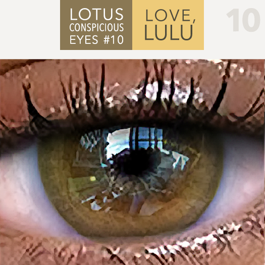 LOTUS. Conspicuous Eyes 10  MESH