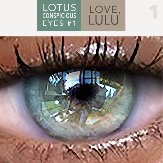 LOTUS. Conspicuous Eyes 01 (Genus)