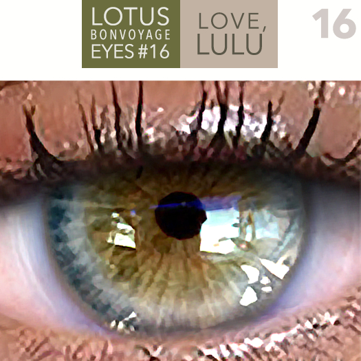 LOTUS. BonVoyage Eyes 16 (Genus) RARE
