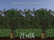 Tropical privacy screen 03 