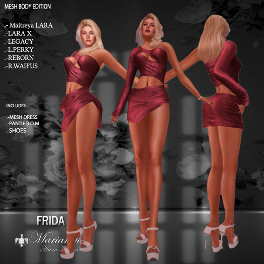 Marianela's FRIDA DEMO