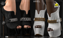 : CULT : Ariel Fatpack
