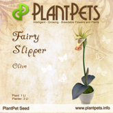 PlantPet Seed [Fairy Slipper *Olive*]