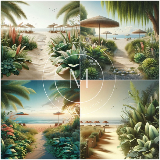 *Minois* Path to the Tide