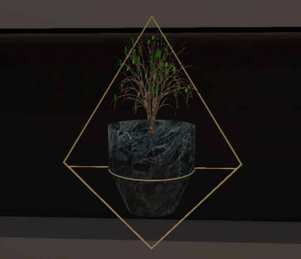 Potted Plant