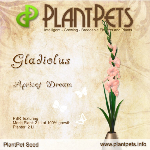 PlantPet Seed [Gladiolus *Apricot Dream*]