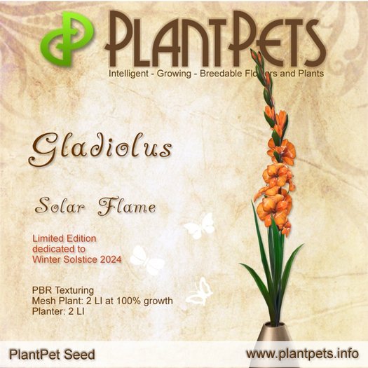 PlantPet Seed [Gladiolus *Solar Flame*]