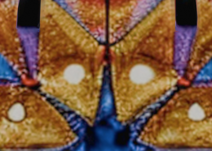 bag with a star design on it - full permission