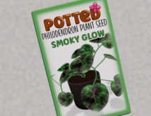 SMOKY GLOW Breedable Philodendron Plant Seed POTTED