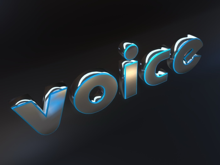 PBR Sign saying voice