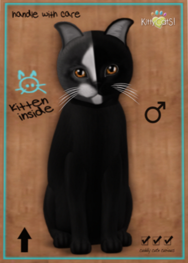 KittyCatS Box - Chimera - Black Grey