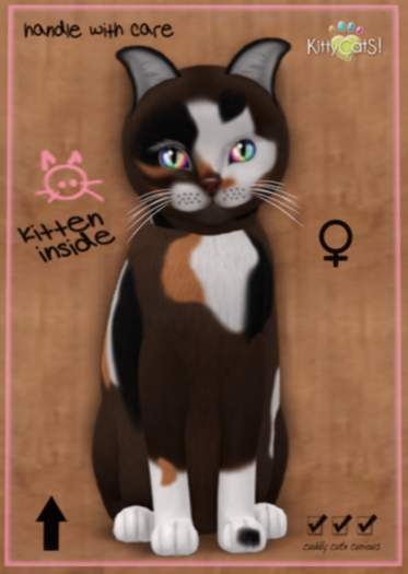 KittyCatS Box - Genesis - Patch II