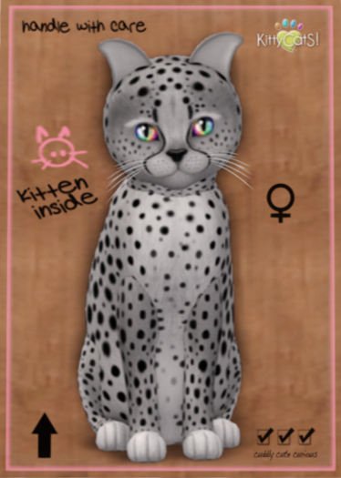 KittyCatS Box - Cheetah! - Silver
