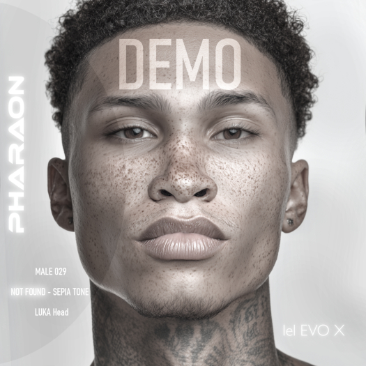 PHARAON - MALE 029 / DEMO