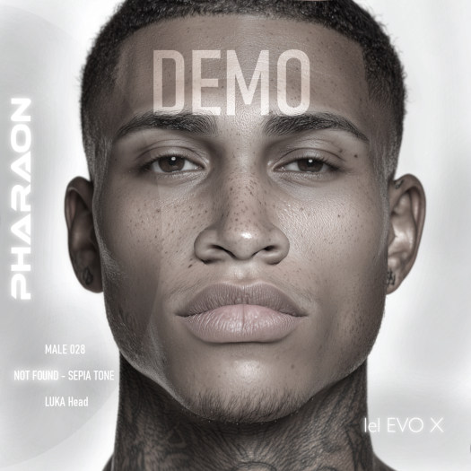 PHARAON - MALE 028 / DEMO