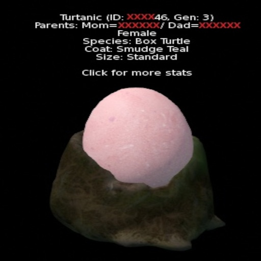 Foxtrot Turtle - Turtanic XXXX46